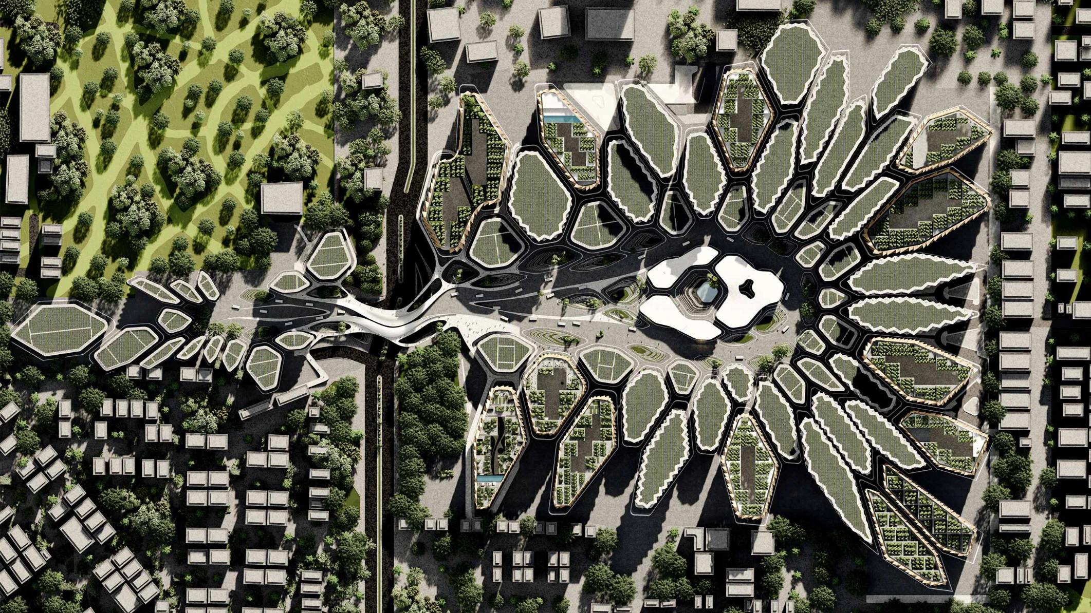 Future city Website.png